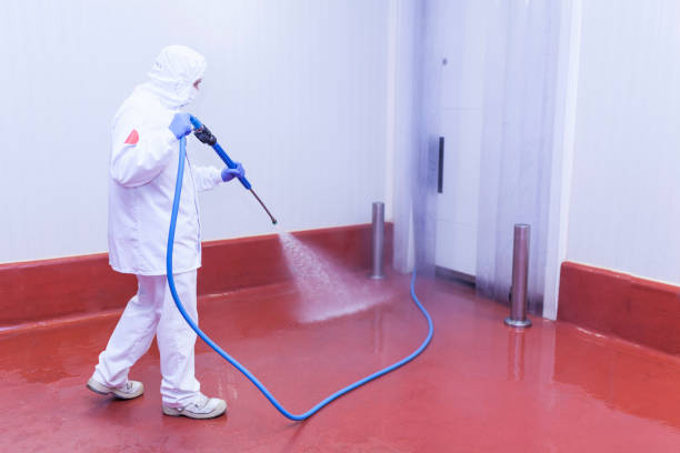 Best Spring Cleaning  in Fairfield, CA